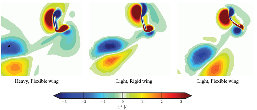 Fluid-structure interaction on flapping wings