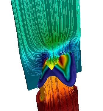 Evaluation of heart valve biomechanics