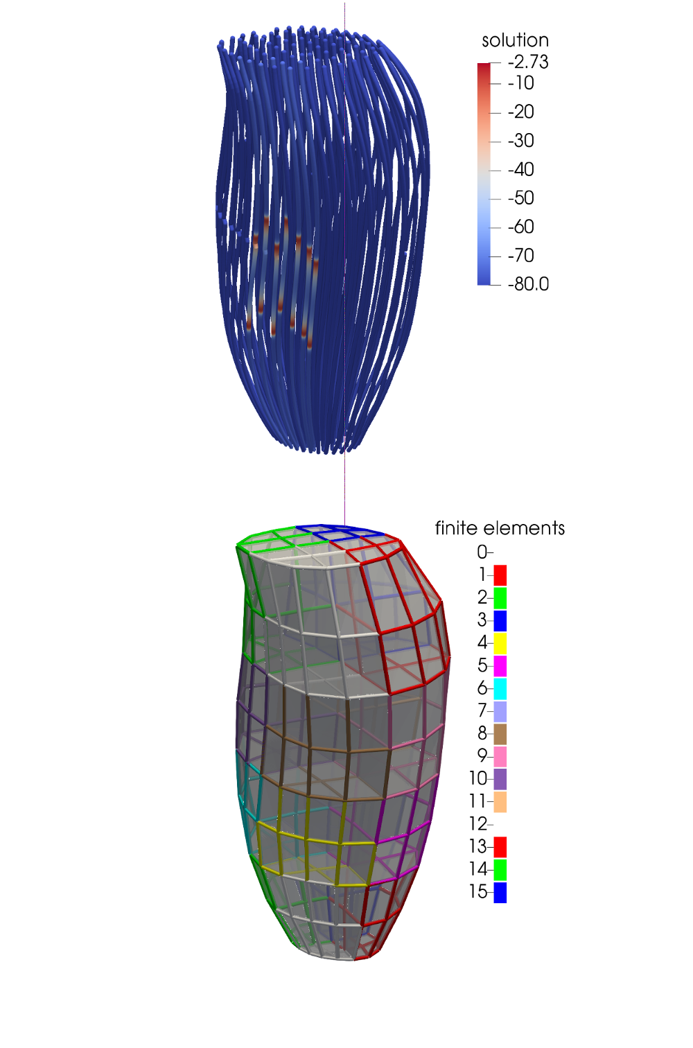 Coupling mechanics and electrophysiology in skeletal muscles